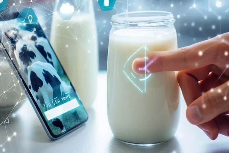 Detecting Milk Adulteration with AI screenshot 3